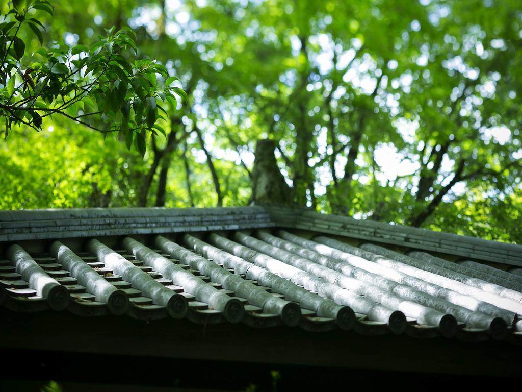 Kurokawa-So Hotel มินามิโอกุนิ ภายนอก รูปภาพ